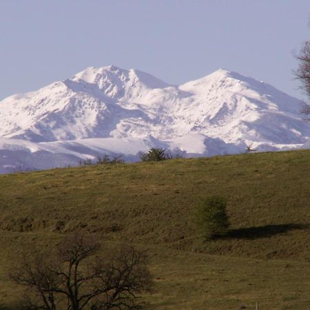 ماريبواه Chambre D'Hotes Domaine De La Trille المظهر الخارجي الصورة