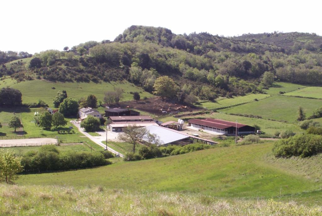 ماريبواه Chambre D'Hotes Domaine De La Trille المظهر الخارجي الصورة