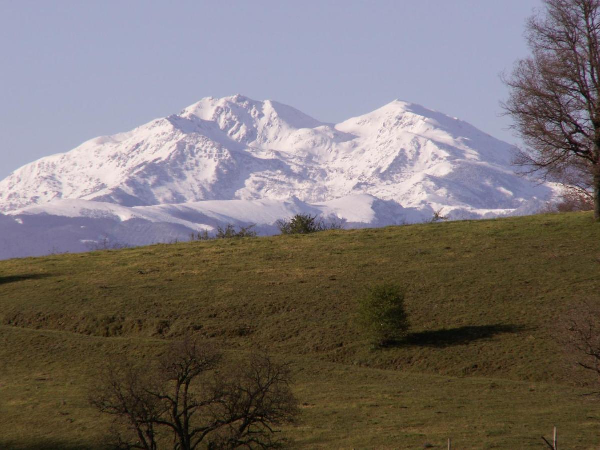 ماريبواه Chambre D'Hotes Domaine De La Trille المظهر الخارجي الصورة